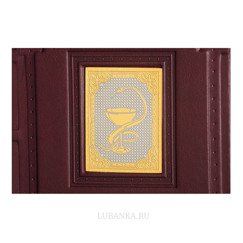 Ежедневник кожанный «Медику»